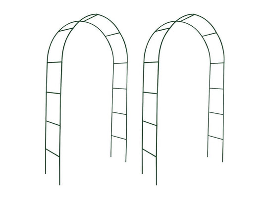 xidaXL Garden Arch 2 pcs Climbing Plants